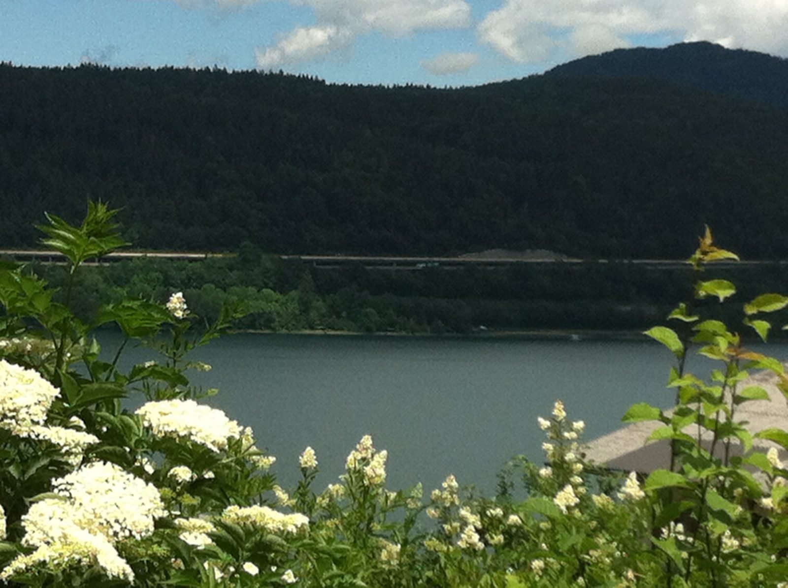 Blick auf den Wörthersee