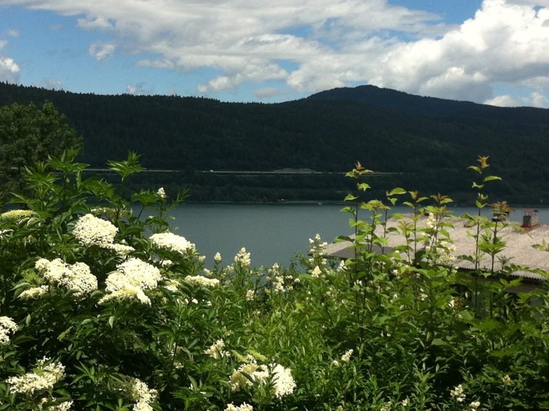 Blick auf den Wörthersee